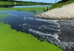 面對黑臭水體治理難題，都有哪些應用不錯的處理工藝？
