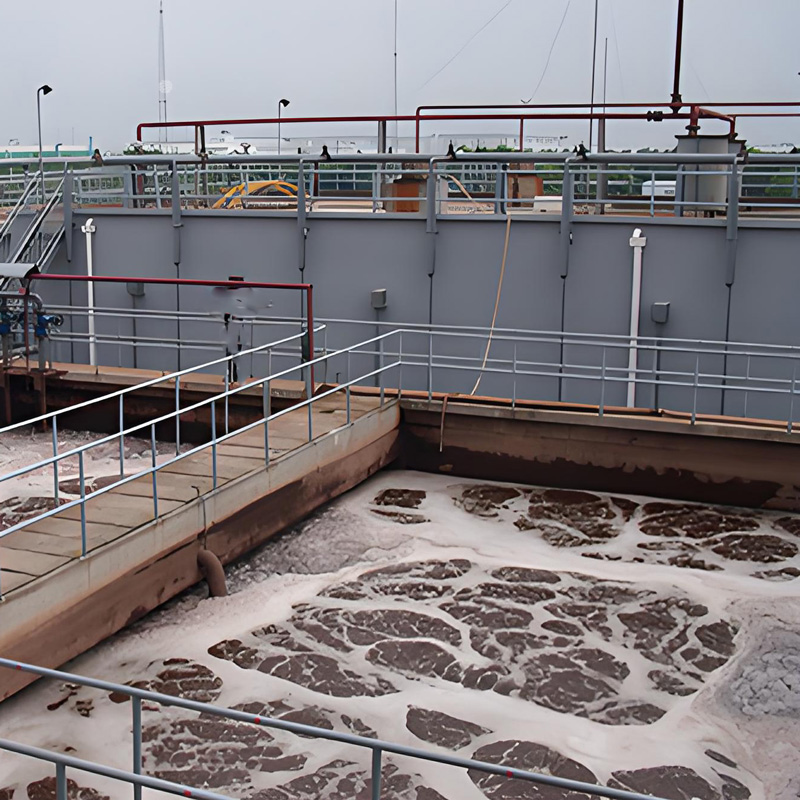 培菌注意事項有哪些？